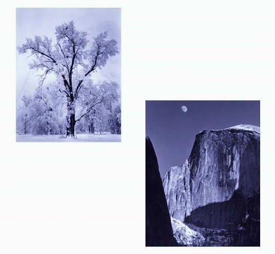 Taken from the Ansel Adams Gallery